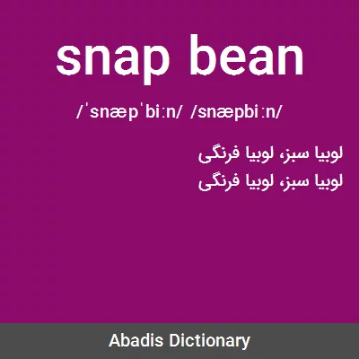 معنی snap bean